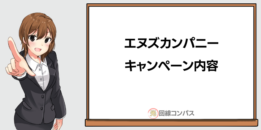 エヌズカンパニーのキャンペーン内容・特徴