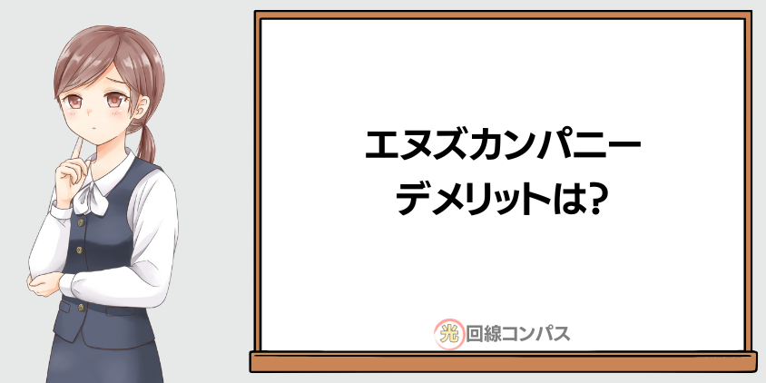 エヌズカンパニーのデメリット